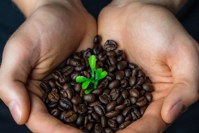 UniCafesta kahdeksankertainen Luomu SM -voittaja