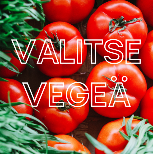 Valitse vegeä -kampanja innosti kasvipohjaisiin valintoihin UniCafeissa – lokakuun vegaaniaste ennätykselliset 47,8 prosenttia