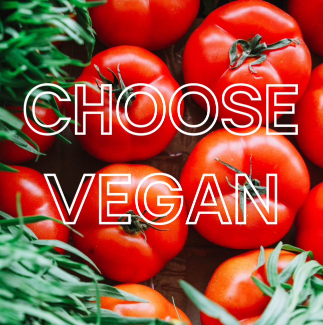 Choose Vegan -Campaign Inspired for Plant-Based Choices at UniCafe – October’s Vegan Rate Reached Record of 47.8 Percent