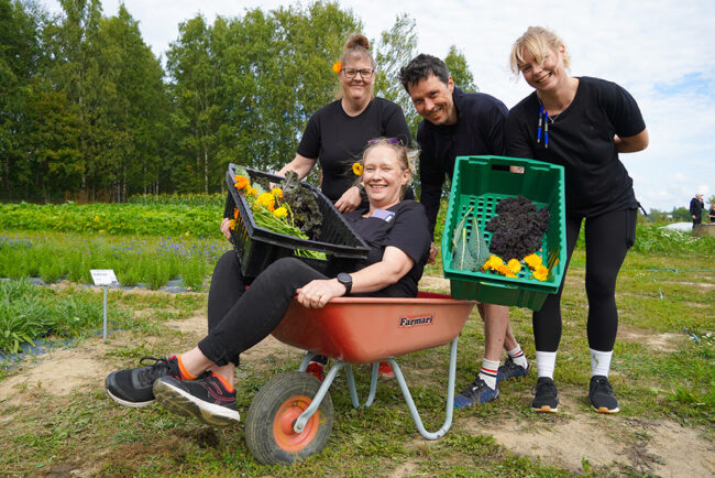 UniCafen ja Green City Farmin yhteistyö jatkuu: lähipellon satoa Viikkiin ja Kumpulaan